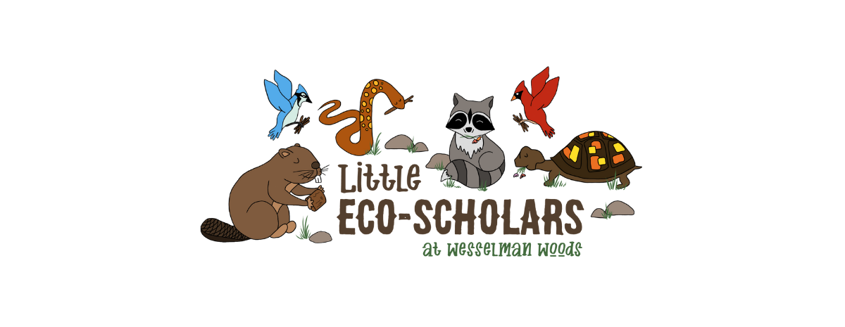 Little Eco-Scholars || 2024-25