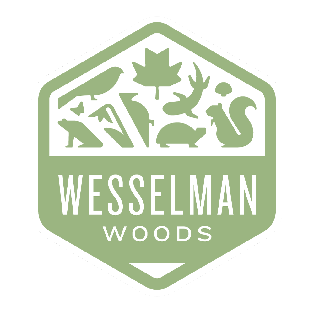 Little Eco-Scholars || 2025-26 - logo